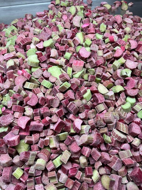 RHUBARBE EN TRANCHE IQF - GELSIUS - 10 kg