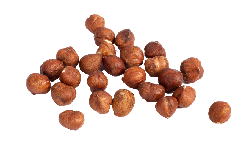 NOISETTE ENTIÈRE DÉCORTIQUÉE NATURELLE DE TURQUIE 13-15 mm - 10 kg