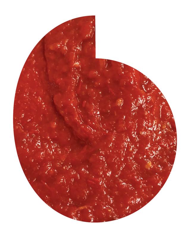 SAUCE À PIZZA 14/16 BRIX - 225 kg