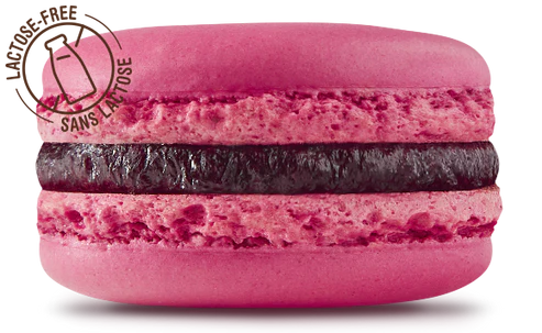 MACARON FRAMBOISE - POINT G - 3 x 12 unités