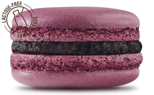 MACARON BLEUET CAMERISE - POINT G - 3 x 12 unités