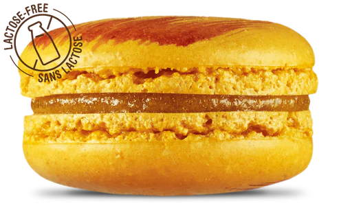 MACARON MANGUE PASSION - POINT G - 3 x 12 unités