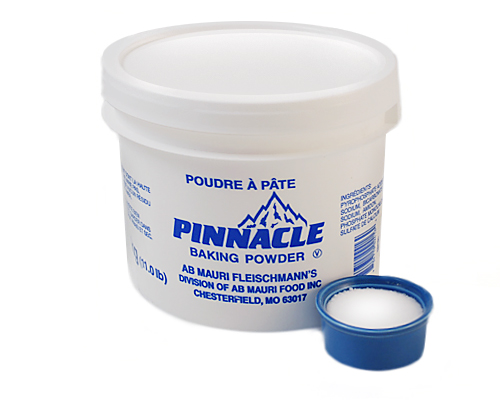 POUDRE À PÂTE - FLEISCHMANN'S 5 kg