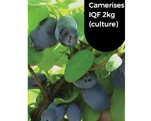 CAMERISE IQF - VERGER PETITS FRUITS ST-LOUIS 2 kg