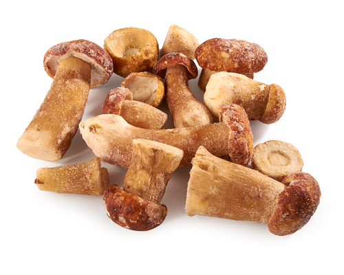 CÈPES BOUCHON SURGELÉS IQF 1 kg