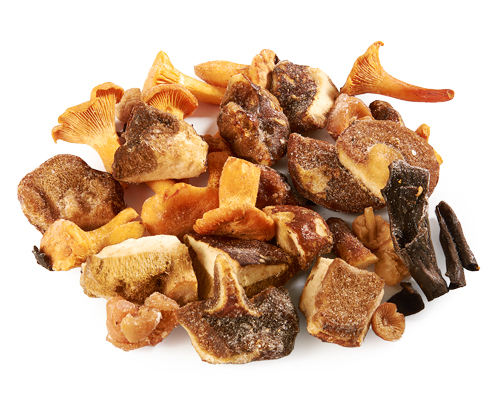 MÉLANGE DE CHAMPIGNONS FORÊSTIER NOBLE SURGELÉS IQF 1 kg