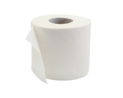 PAPIER DE TOILETTE 500 FEUILLES 2 PLIS - 48 unités