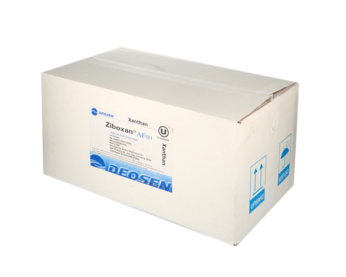 GOMME XANTHANE EN POUDRE 80 - MESH 25 kg