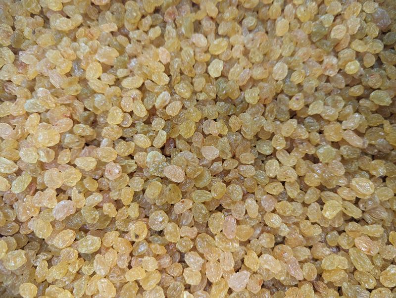 GOLDEN RAISIN FROM SOUTH AFRICA - 13.6 kg